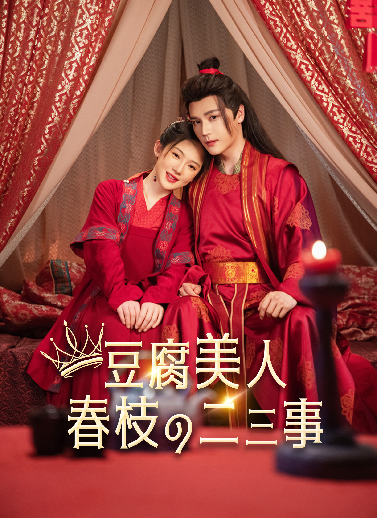 豆腐美人春枝の二三事