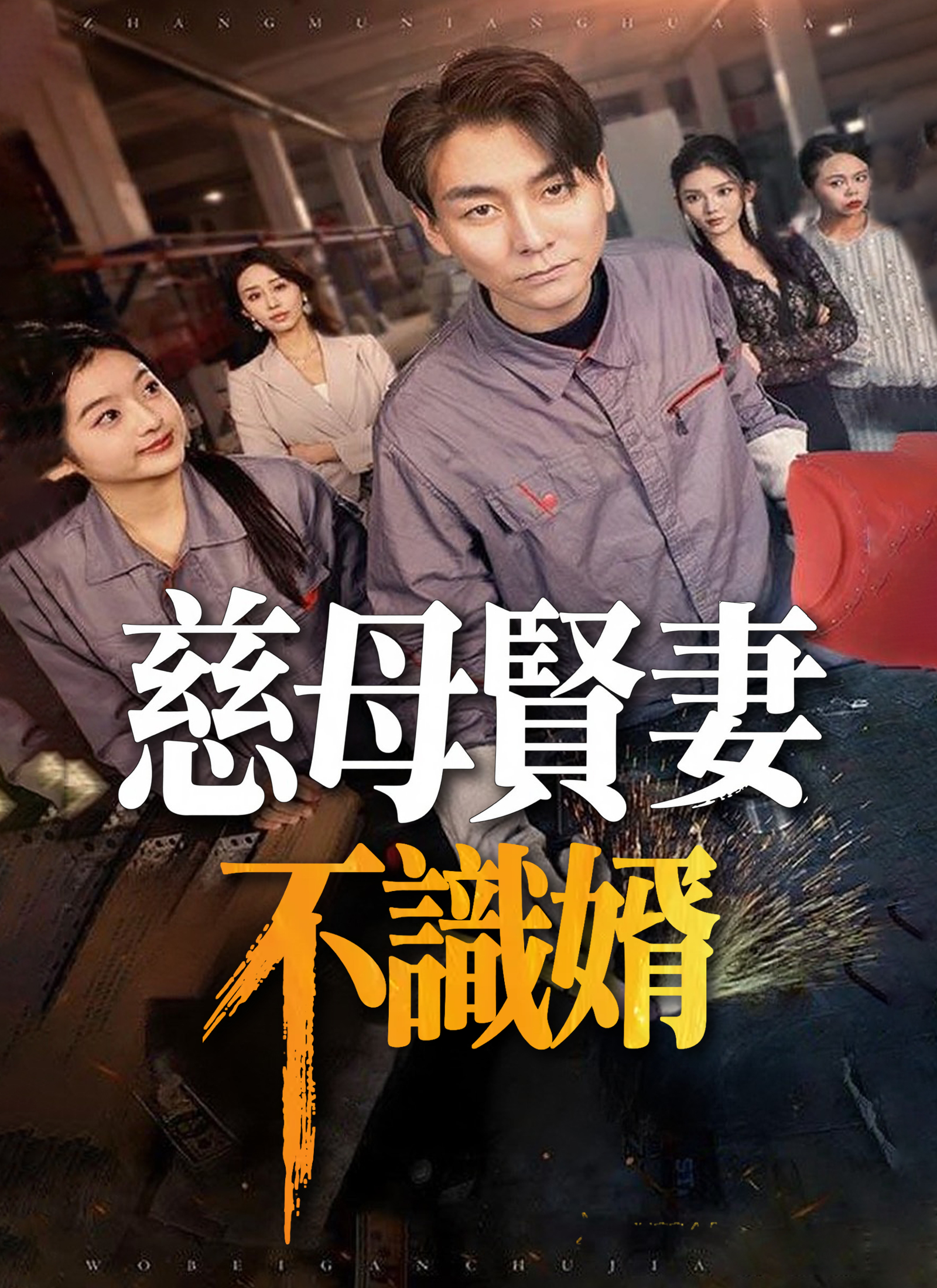 慈母贤妻不识婿