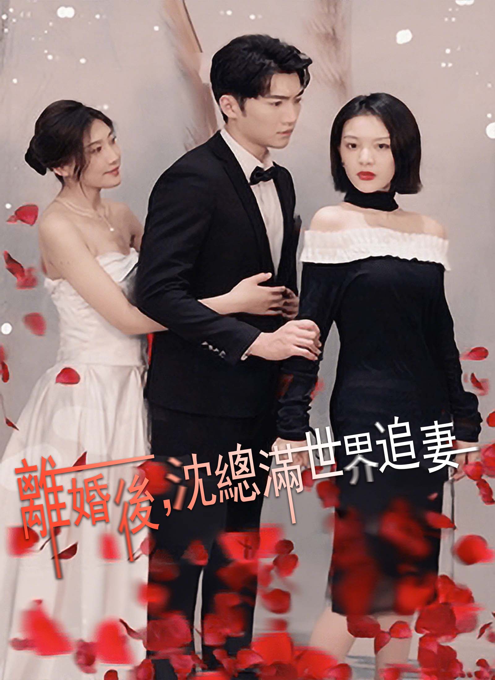 離婚後，沈總滿世界追妻