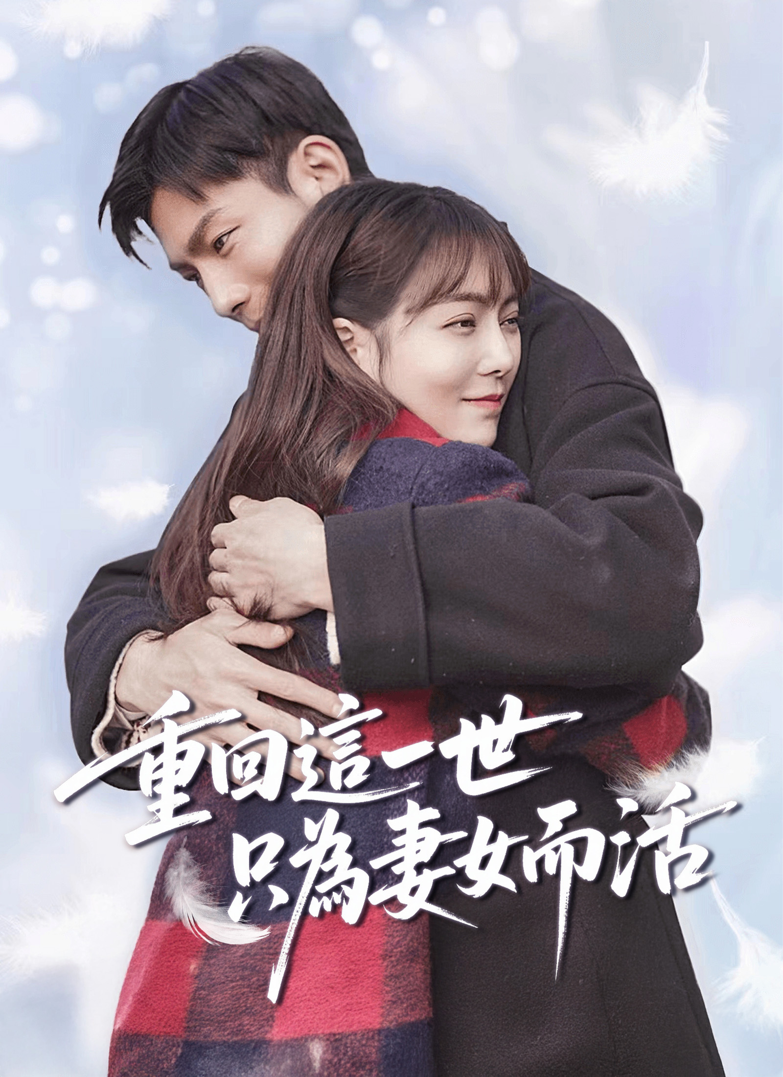 重回这一世只为妻女而活