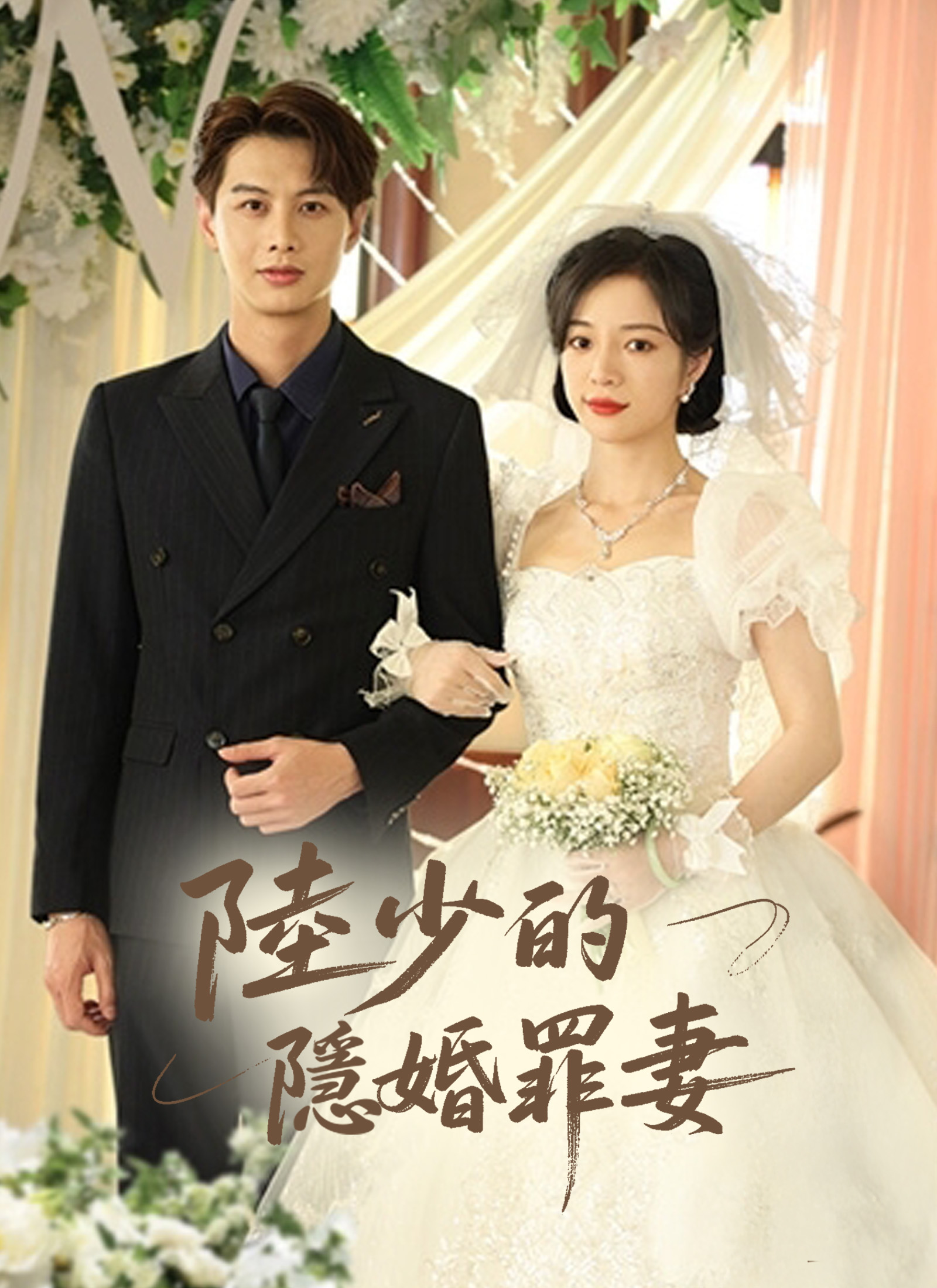 陆少的隐婚罪妻