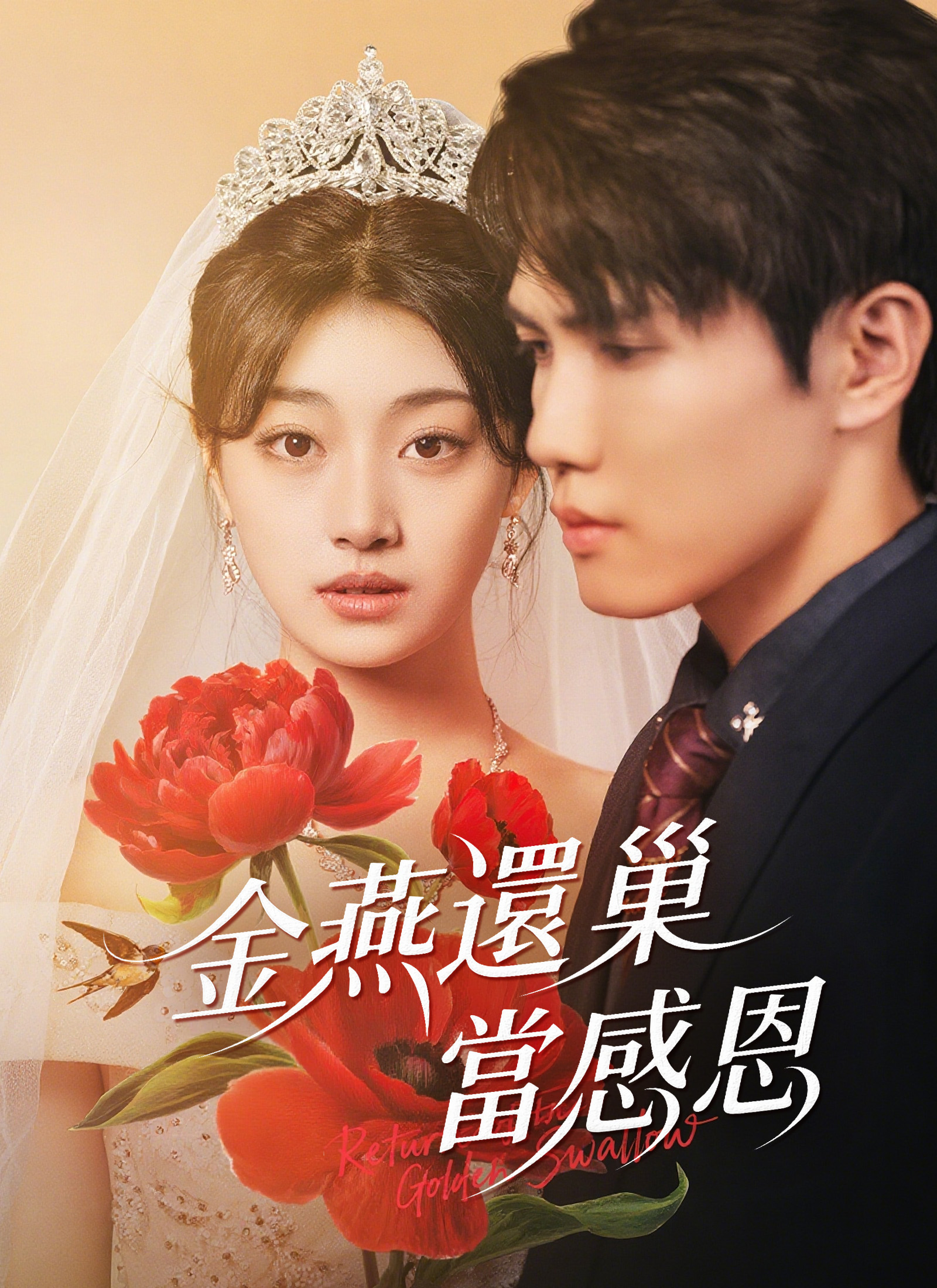 金燕还巢当感恩