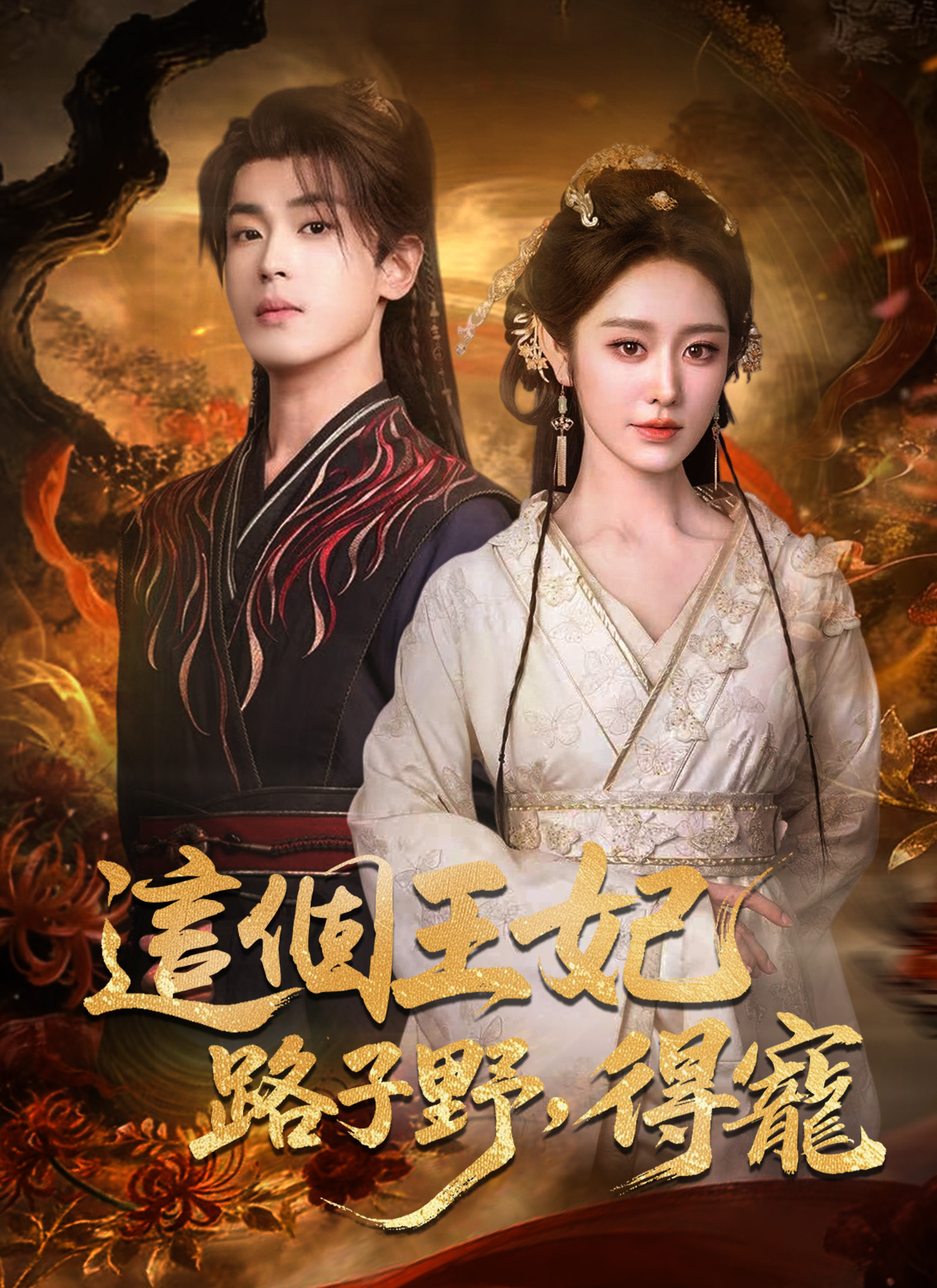 這個王妃路子野，得寵